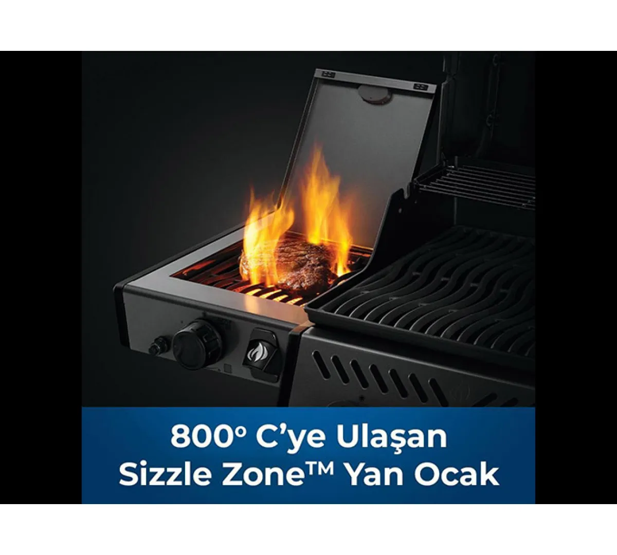 Napoleon Freestyle 365 DSIB Gazlı Barbekü