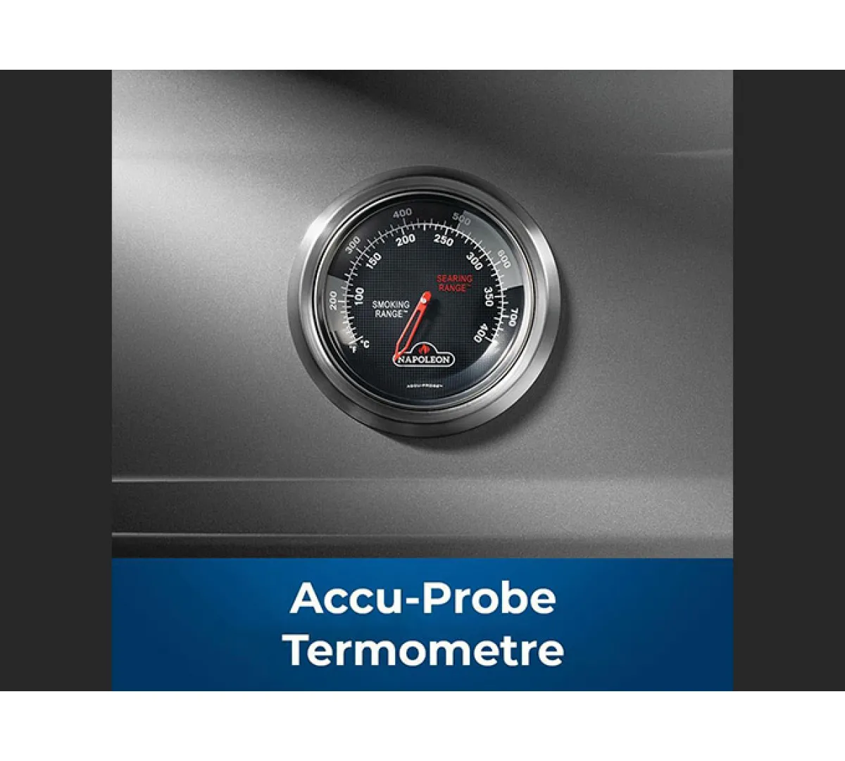 Napoleon Freestyle 365 DSIB Gazlı Barbekü