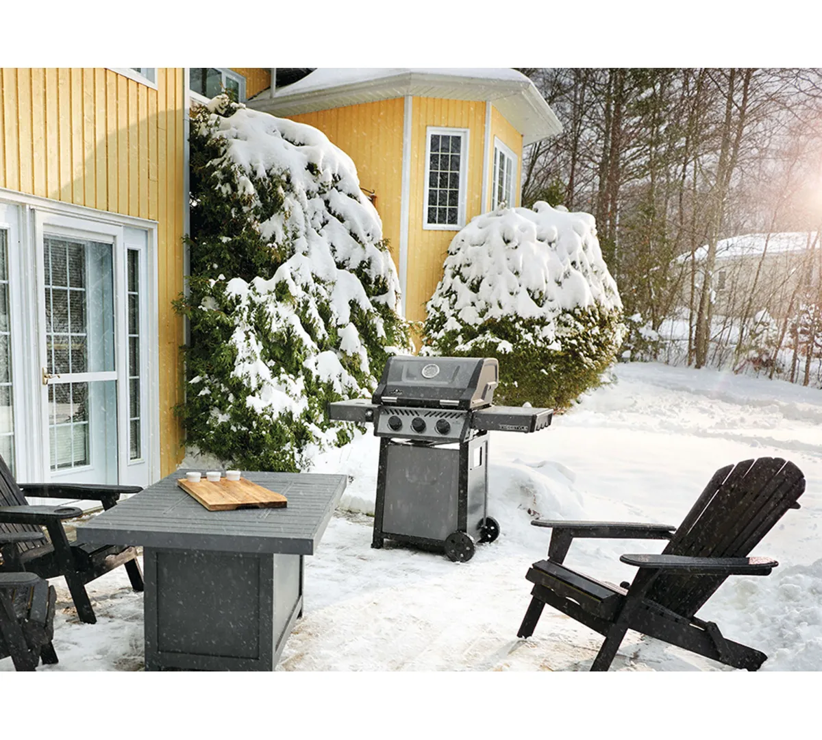 Napoleon Freestyle 365 Gazlı Barbekü