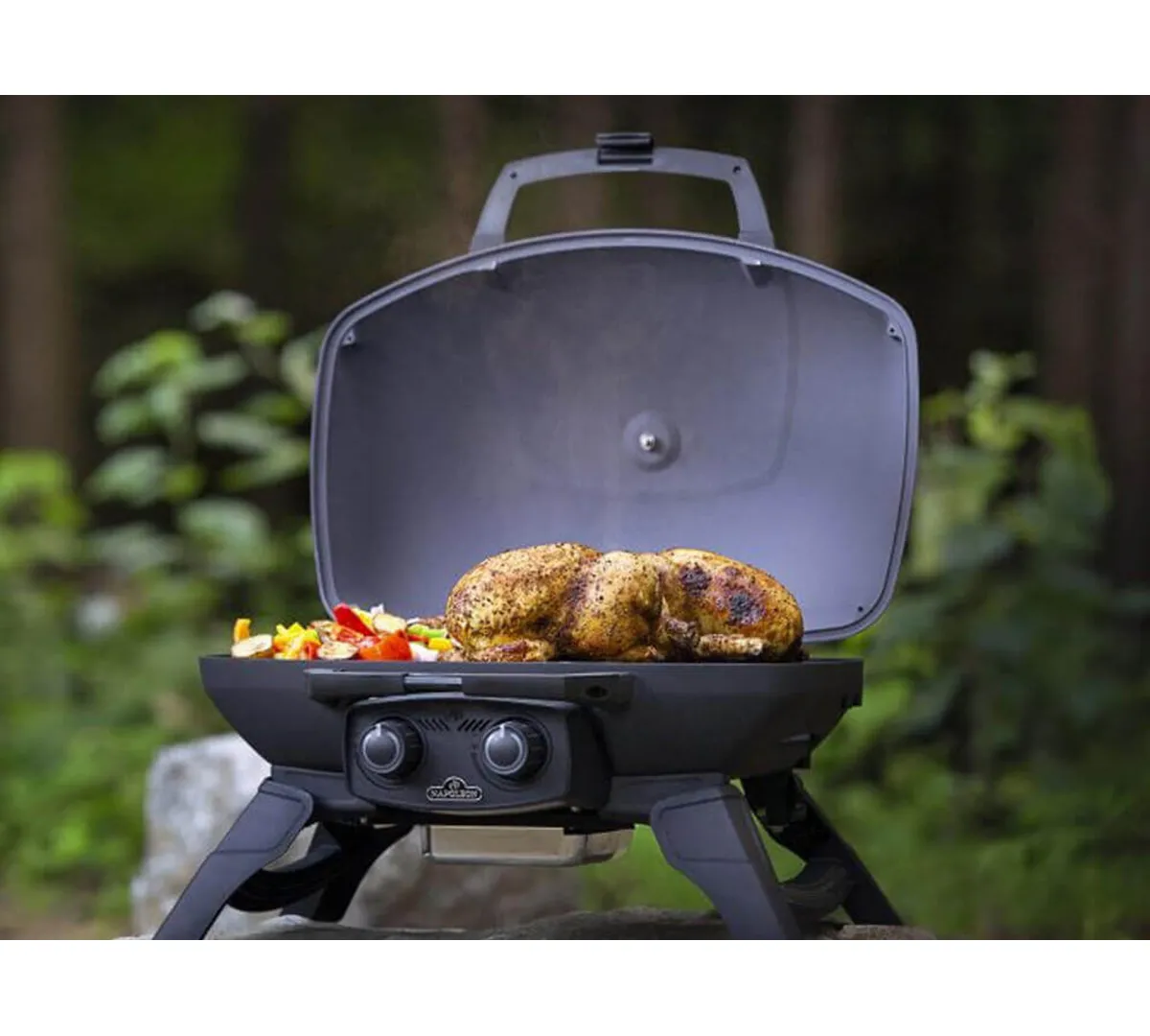 Napoleon Travelq 285 Portatif Gazlı Barbekü