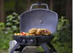 Napoleon Travelq 285 Portatif Gazlı Barbekü