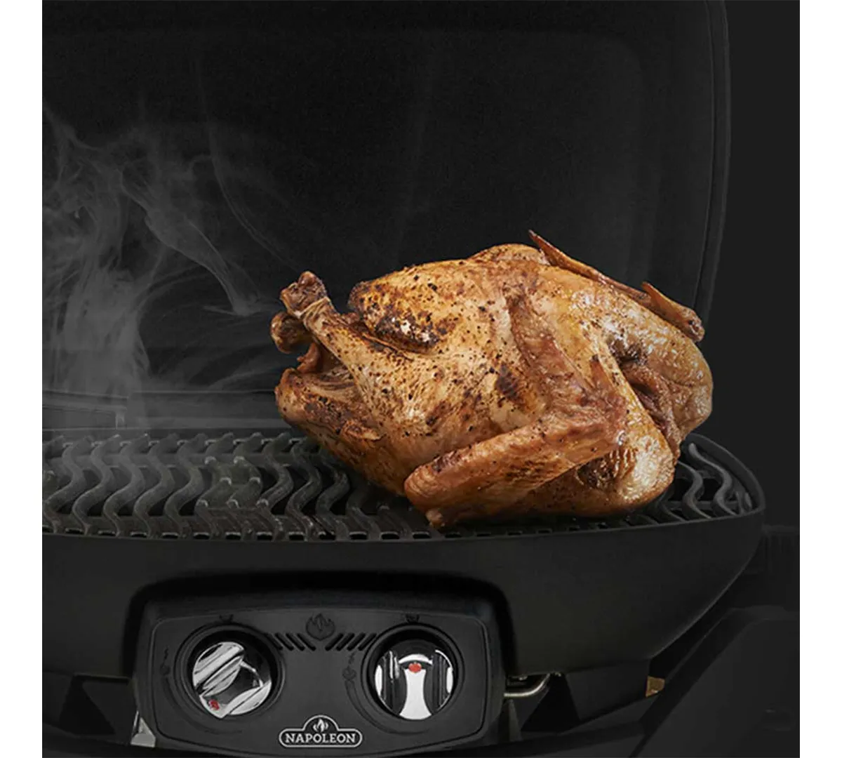 Napoleon Travelq Pro285X Portatif Gazlı Barbekü 