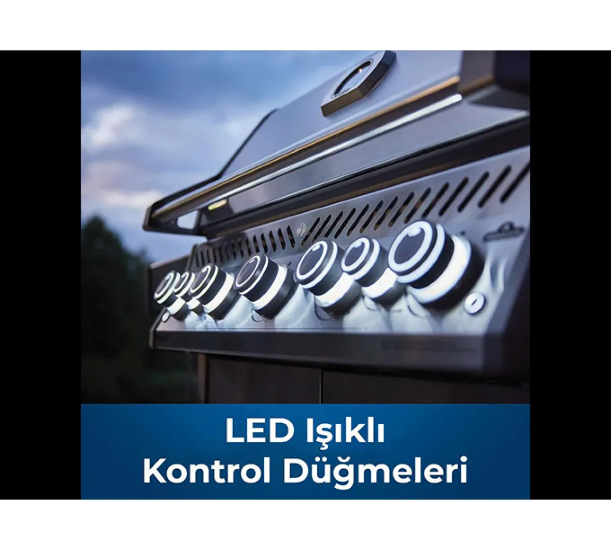 Napoleon Rogue SE 525 RSIB Gazlı Barbekü Napoleon Rogue SE 525 RSIB Gazlı Barbekü