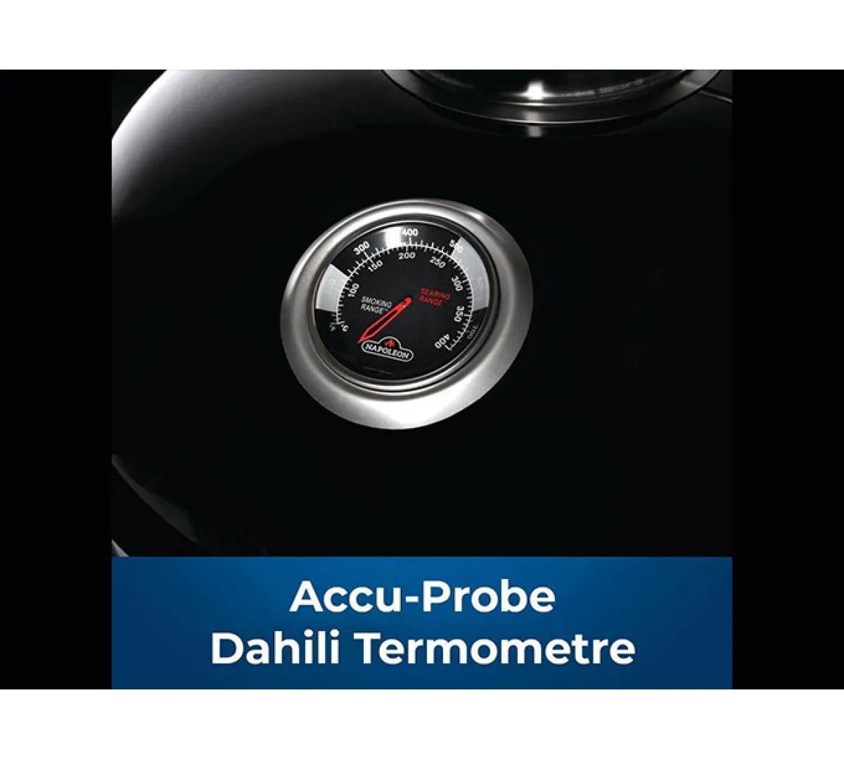 Napoleon Professional 22 Cart Kömürlü Barbekü