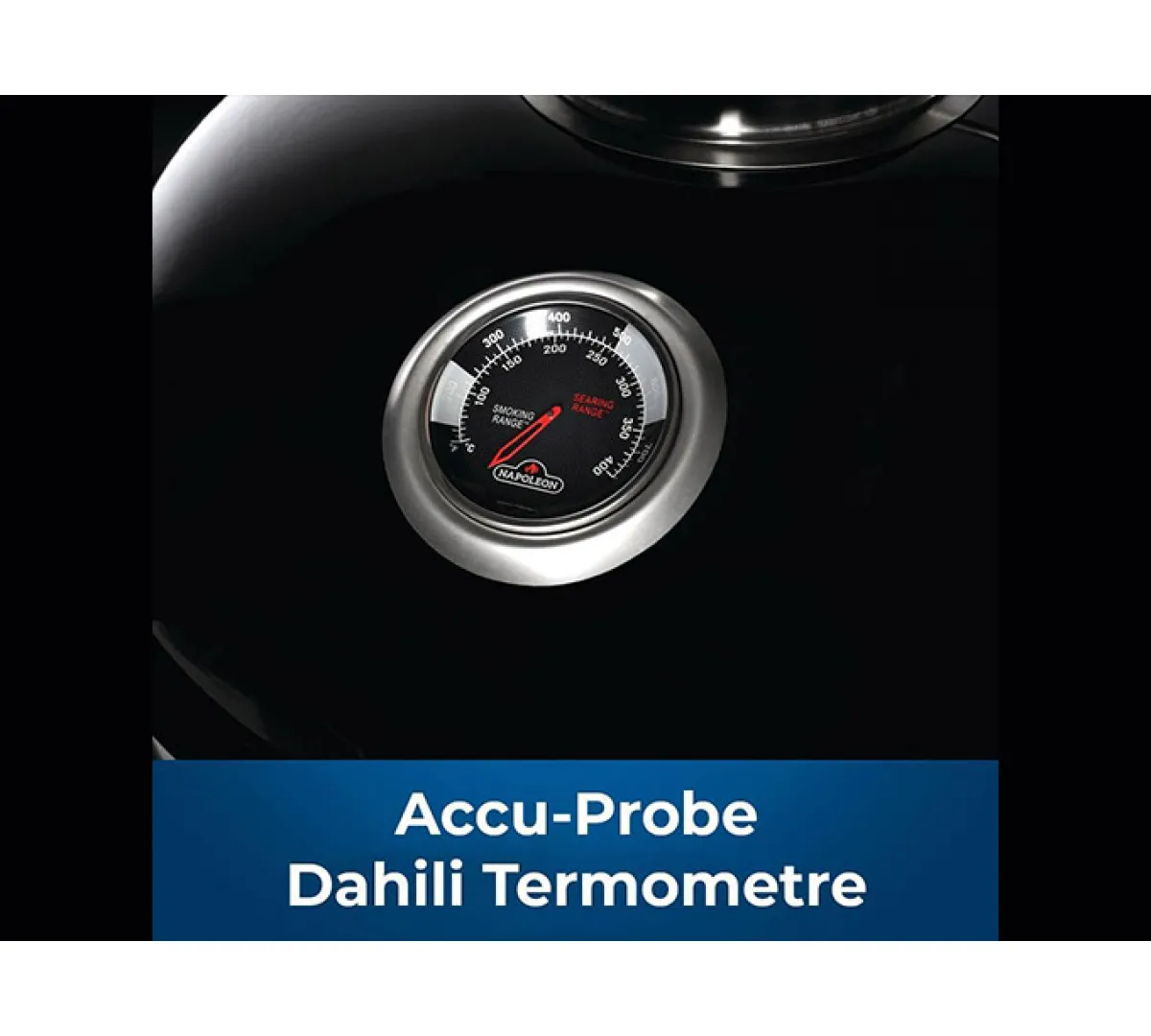 Napoleon Professional 22 Kömürlü Barbekü