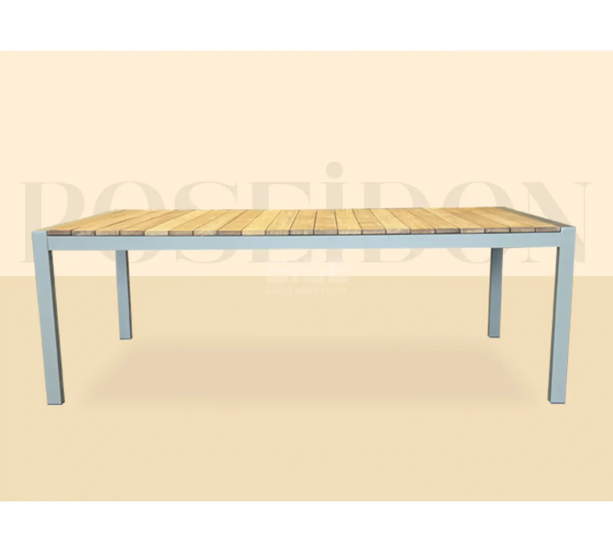 Poseidon Masa Takımı 8'li