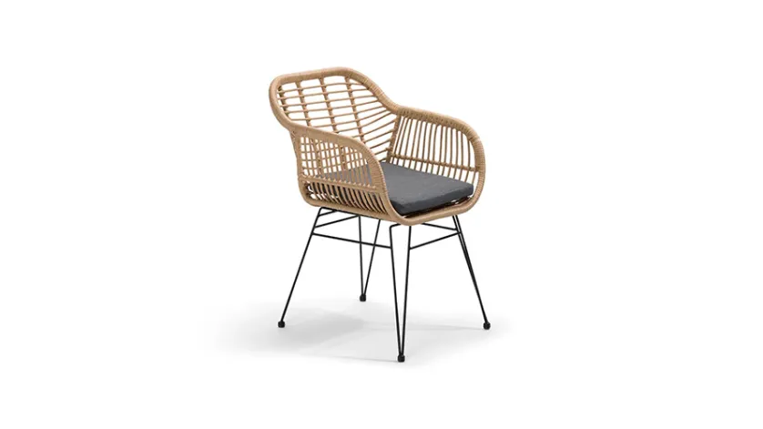 Echo Kollu Sandalye Minderli